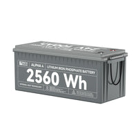 A rectangular gray Rich Solar LiFePO4 battery, labeled 2560Wh/100Ah with ALPHA 4 on the side, features a handle, top connection terminals, and includes a 5-year warranty.