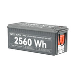 A rectangular gray 200Ah LiFePO4 battery branded as Rich Solar ALPHA 2 PRO, with a 2560Wh capacity. Safety and specification labels are visible on the top and side.