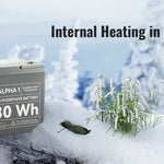 Rich Solar 12V 100Ah Lithium Battery | ALPHA 1
