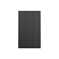 A rectangular black 100W Ecoflow solar panel with visible grid lines is displayed on a solid black background. Its weatherproof design ensures durability, and a white horizontal bar extends from the right side of the panel.
