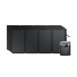Six Ecoflow black solar panels are arranged side by side in the background, with an Ecoflow portable power station featuring a display screen, control buttons, and advanced BMS protection positioned at the front right.